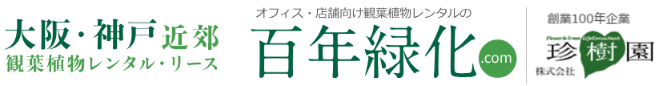 オフィスグリーン・観葉植物をお求めの方は株式会社珍樹園へ